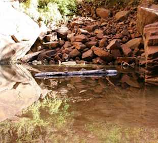 Emerald Pools