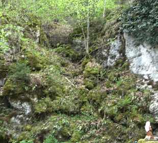 Lourdesgrotte Liebfrauental