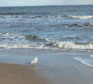 Strand Zinnowitz
