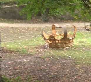 Schlosspark St. Emmeram