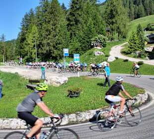 Massen von Radfahrern