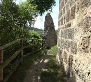 Burgruine Niederhaus