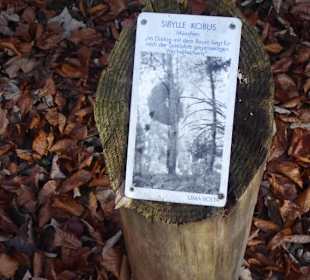 Kunstpark Skulptur-Lichtung