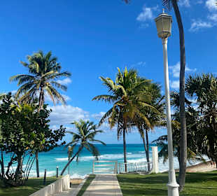 Gartenanlage Hotel Melia Varadero