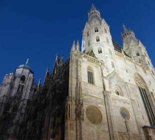 Der Stephansdom am Abend
