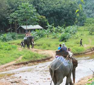Khao Sok Nationalpark