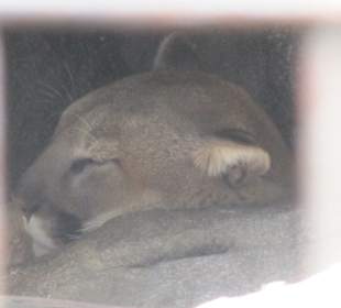 San Diego Zoo