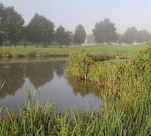 Die Anlage im Frühnebel