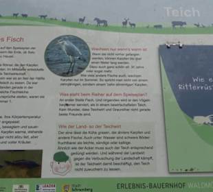 Erlebnisbauernhof und Wildgehege