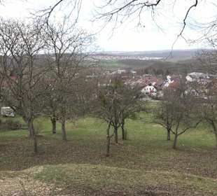 Geigersbühl Großbettlingen