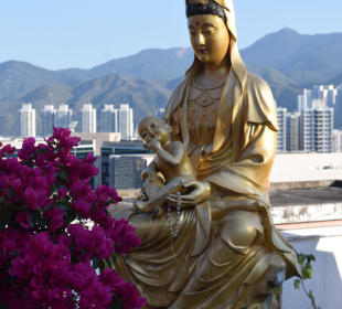 Temple of 10.000 Buddhas