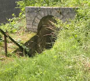 Bergfestung Rothenberg
