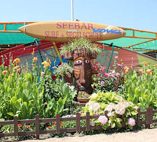 Gut zu sehen direkt am Defne Star