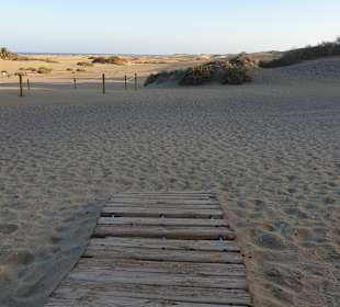 Dünen von Maspalomas