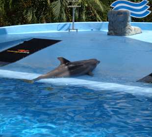 Hotel Grand Palladium Punta Cana Resort & Spa