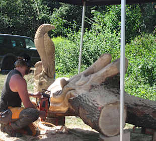 Kreativ Kettensägen am Rhein