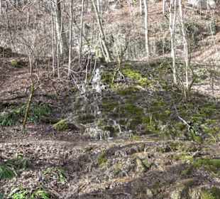 Gütersteiner Wasserfall