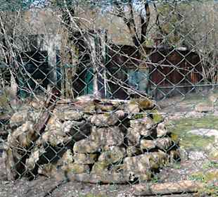 Tierpark Hellabrunn in München