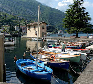 Stadtrundfahrt Nago-Torbole