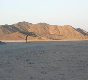 Primasol Beach Albatros Resort