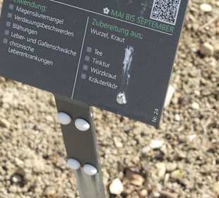 Hinweistafel zum eingepflanzten Kraut
