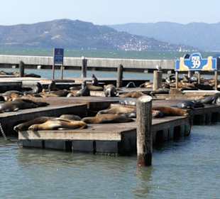 Pier 39