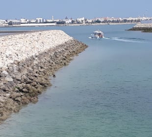 Ausblick Museumsterrasse