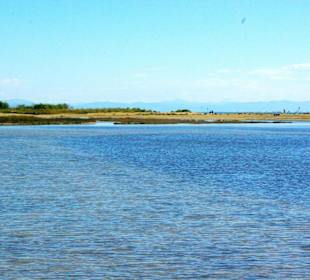 Ende September 2010 Inspirationen