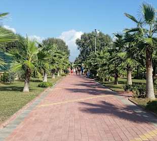 Eftalia Island