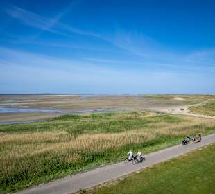 Wandern West-Terschelling