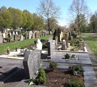 Neuer Friedhof