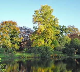 Rundgang durch den herbstlichen Schlosspark