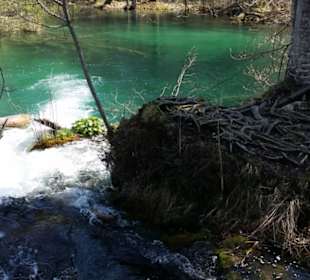 Was für eine Farbe.