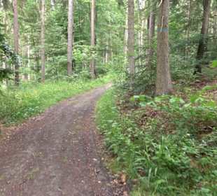 Wanderweg Märchensee Runde