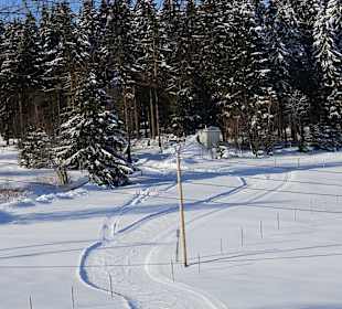 Wandern Neuhaus am Rennweg