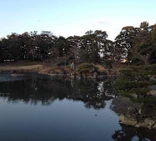 Hikone castle and surrounding garden