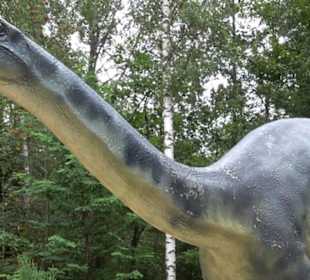 Dinosaurier Museum Altmühltal