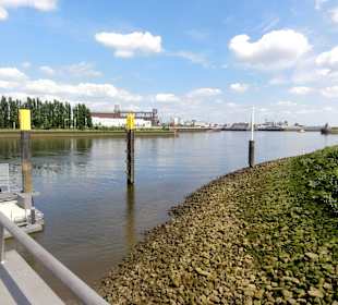Blick auf die Weser vom Fähranleger