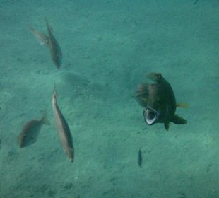 Da hat jemand nichts abbekommen