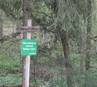 Wanderweg Firstwaldrunde