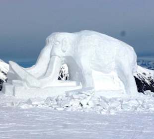 Das Mammut am Berg, Stubnerkogel