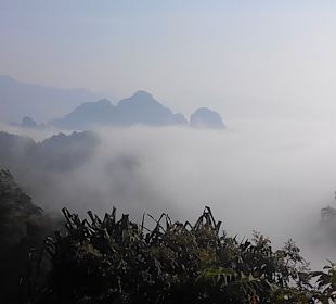 Geführte Touren Mogli's Nature Tours