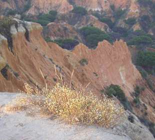 An der Steilküste der Praia da Falesia