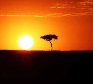 Sonnenaufgang Masei Mara