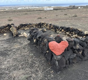 Ausflug nach Lanzarote