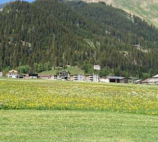 Elbigenalp