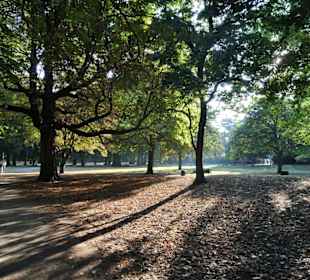 Spaziergang durch den Kölner Stadtgarten