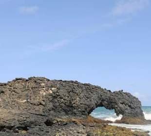 “ Wilder Norden“