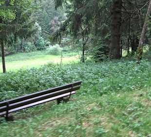 Waldlehrpfad in Tieringen