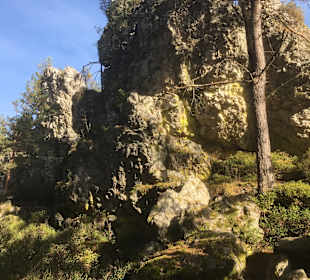 Naturschutzgebiet Großer Pfahl